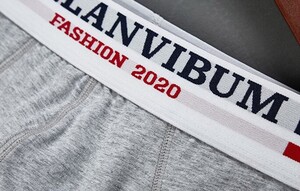Фото - Чоловічі універсальні бріфи труси Lanvibum сірі зі смугастою резинкою - Men box