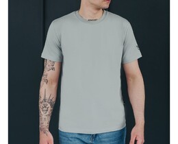 Фото - Футболка серая мужская Staff gray logo - Men box