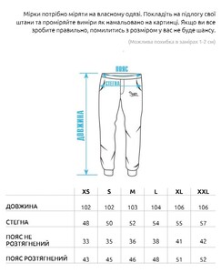 Фото - Спортивные молодежные штаны Staff danger - Men box