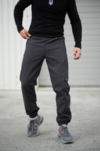 Фото - Зимові штани чоловічі Intruder SoftShell Basic сірі - Men box