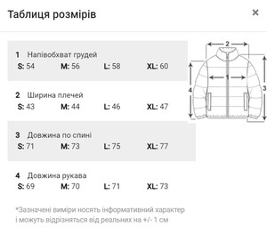 Фото - Стеганая демисезонная куртка от Intruder Temp - Men box