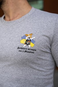 Фото - Сіра патріотична чоловіча футболка від бренду Intruder з принтом на грудях - Men box