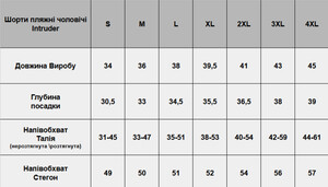 Фото - Білі шорти для пляжу Intruder з чорною окантовкою - Men box