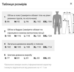 Фото - Спортивные штаны серого цвета бренда Intruder Dazzle - Men box