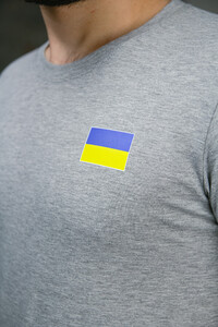 Фото - Сіра патріотична чоловіча футболка від Intruder з прапором - Men box