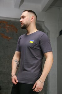 Фото - Чоловіча футболка з патріотичним принтом Intruder у кольорі графіт - Men box