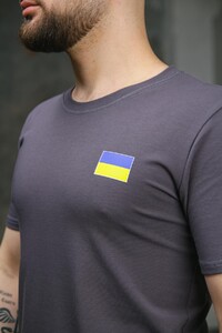 Фото - Чоловіча футболка з патріотичним принтом Intruder у кольорі графіт - Men box