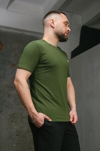 Фото - Бавовняна чоловіча футболка Intruder кольору хакі з прапором на грудях - Men box