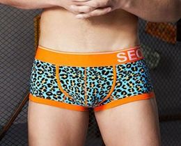 Фото - Стильні чоловічі труси з леопардовим принтом Seobean - Men box