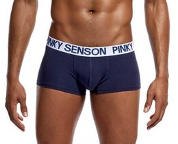 Фото - Чоловічі труси хіпси Pinky Senson темно-синього кольору - Men box