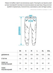 Фото - Штани з накладними кишенями Staff cargo tam black - Men box