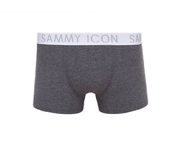 Фото - Боксеры мужские базовые Sammy Icon цвета серый меланж - Men box