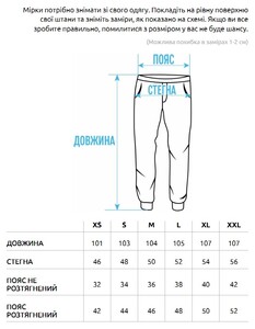 Фото - Спортивные штаны бордового цвета Staff wo bordo - Men box