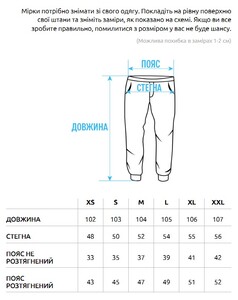 Фото - Спортивные штаны цвета хаки Staff wol logo khaki - Men box