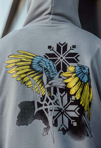 Фото - Худі з патріотичним принтом Staff eagle - Men box
