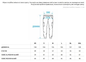 Фото - Штаны карго темно-серые Staff cargo graphite TS - Men box