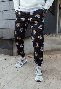 Фото - Джоггеры "Тигр и дракон" Staff tiger & drago - Men box