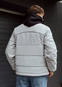 Фото - Светло-серая демисезонная куртка Staff go light gray - Men box
