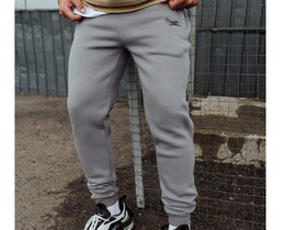 Фото - Спортивные штаны с начесом Staff gray logo fleece - Men box