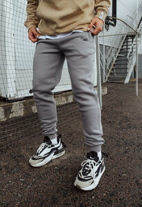 Фото - Спортивные штаны с начесом Staff gray logo fleece - Men box