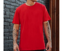 Фото - Однотонная красная футболка Staff red basic - Men box