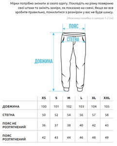 Фото - Повседневные штаны джоггеры Staff gray - Men box