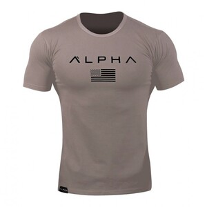 Фото - Спортивная футболка от Alpha коричневого цвета - Men box