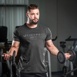 Фото - Футболка для чоловіків Alpha у сірому кольорі з принтом - Men box