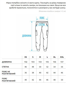 Фото - Утеплені штани карго Staff st cargo black fleece - Men box