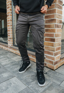 Фото - Серые утепленные штаны Staff coa cargo gray fleece - Men box