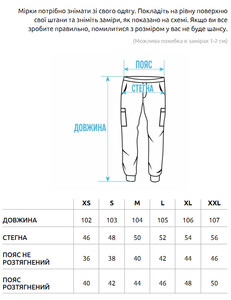 Фото - Утепленные мужские штаны Staff coa cargo black fleece - Men box