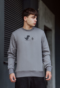 Фото - Утепленный серый свитшот Staff dino fleece - Men box