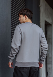 Фото - Утепленный серый свитшот Staff dino fleece - Men box