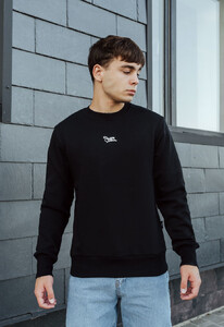 Фото - Свитшот с патриотическим принтом Staff logo & birds fleece - Men box