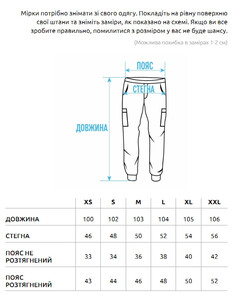 Фото - Серые штаны карго Staff ta cargo gray - Men box