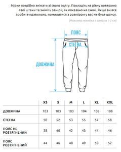 Фото - Мужские серые джоггеры Staff pa dark gray - Men box