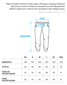 Фото - Теплые спортивные штаны цвета хаки Staff khaki logo fleece - Men box