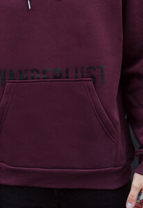 Фото - Темно-фиолетовое теплое худи Staff wanderlust fleece - Men box