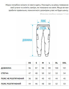 Фото - Повседневные штаны карго Staff cargo sj black - Men box