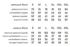 Фото - Повседневный костюм на флисе Intruder Stout цвета графит - Men box