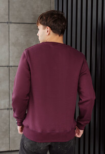 Фото - Базовый бордовый свитшот Staff bordo basic fleece - Men box