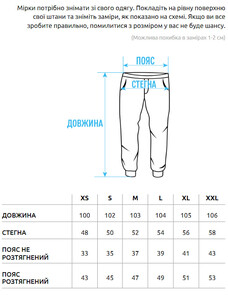 Фото - Спортивные штаны цвета графит Staff mi graphite basic fleece - Men box