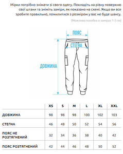 Фото - Универсальные мужские штаны карго Staff cargo tor black - Men box