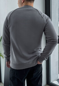 Фото - Мужской серый свитшот Staff kant logo gray - Men box