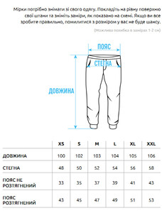 Фото - Однотонные серые спортивные штаны Staff mi gray basic fleece - Men box