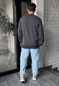 Фото - Повсякденний сірий світшот Staff gray basic - Men box