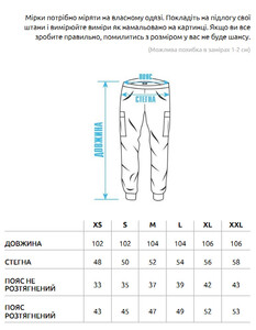 Фото - Мужские штаны карго Staff cargo fut black - Men box