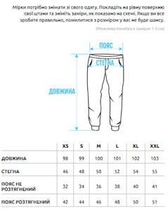 Фото - Демисезонные спортивные штаны Staff black logo - Men box