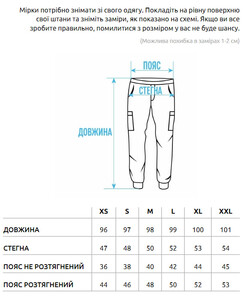 Фото - Всесезонные штаны карго Staff cargo sj gray - Men box