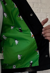 Фото - Ветровка с ярким принтом Staff x White Dog black & green - Men box